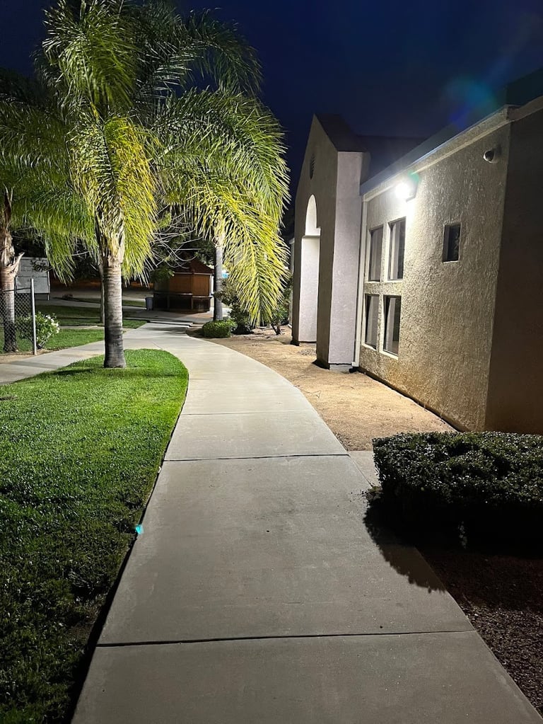 Modern home entrance at night with illuminated pathway and palm tree